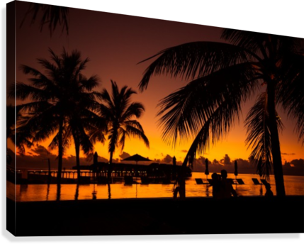 Palm Trees Silhouette On Sunset Tropical Beach Canvas - Palmen Hintergrund (429x344), Png Download