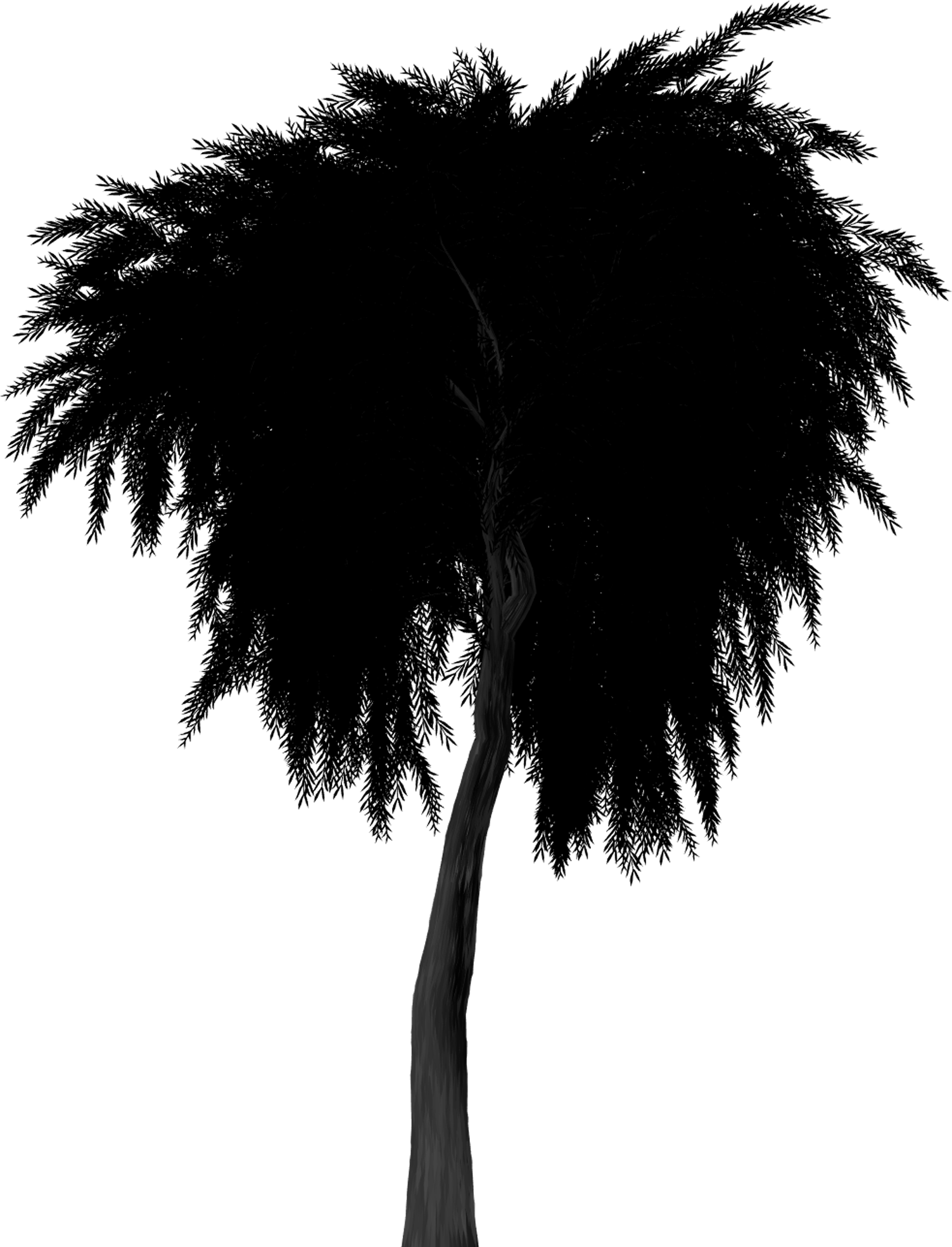 Silhouette Weeping Willow Tree 1502222 - Treurwilg Png (1503x1967), Png Download