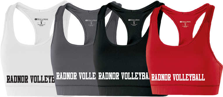 Rgv Sports Bra - Sports Bra (800x337), Png Download