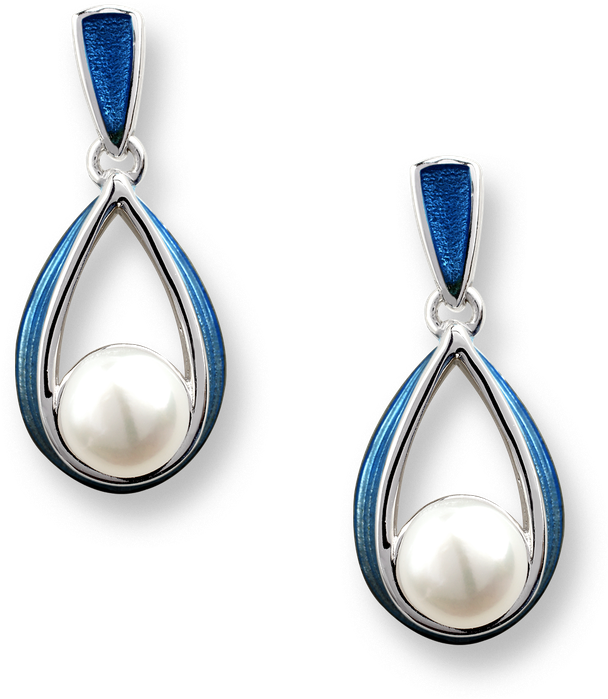 Nicole Barr Designs Sterling Silver Ribbon Stud Earrings-blue - Blue Ribbon Stud Earrings - Sterling Silver (800x800), Png Download