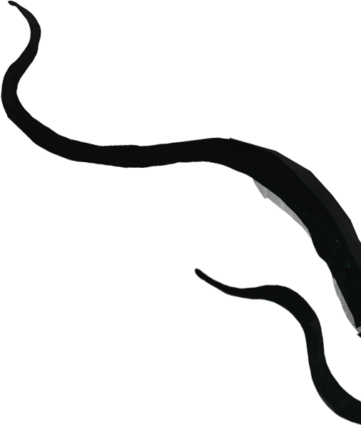 Clip Art (506x595), Png Download