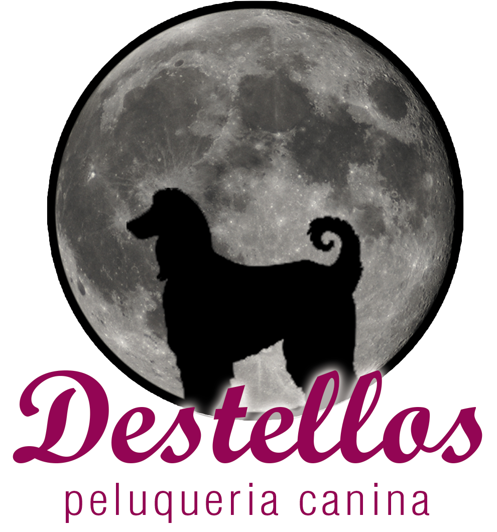 Destellos Peluqueria Canina En Alhaurin De La Torre - Can We Develop India (997x1181), Png Download