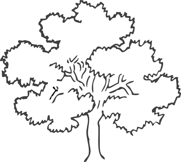 Clip Art Black And White Tree (600x535), Png Download