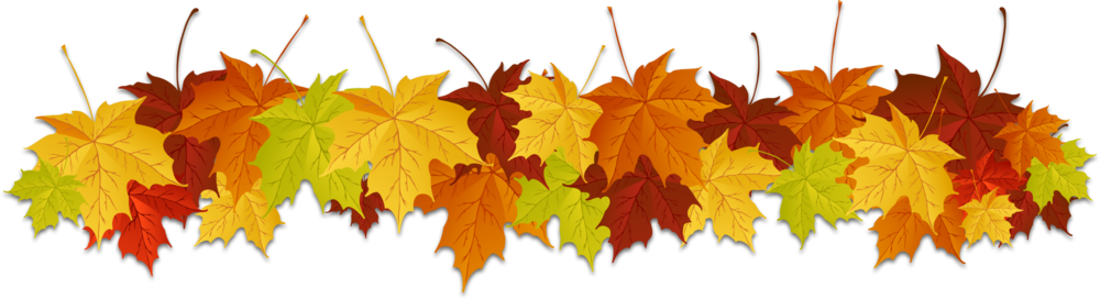 Leaves Top Border - Maple Leaf (1000x272), Png Download