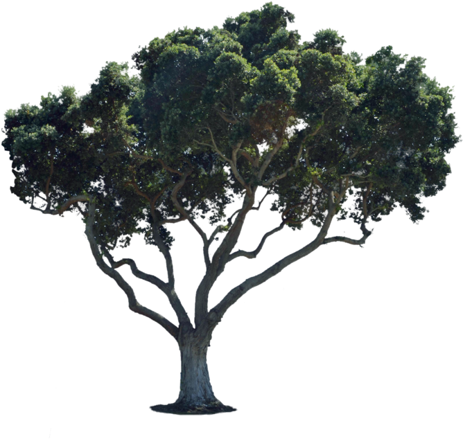 Street Png For Photoshop (1024x678), Png Download