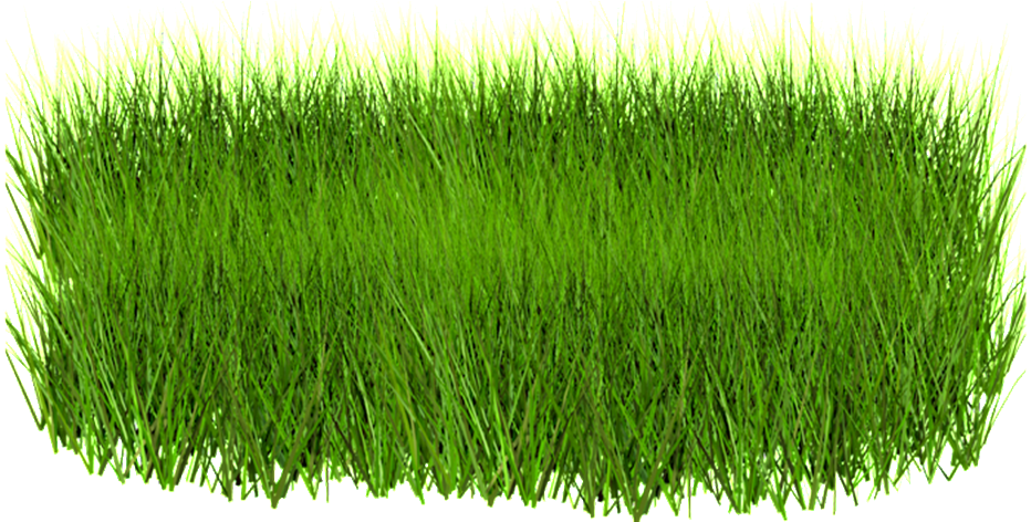 A Piece Of Grass Transparent Decorative - Green Grass In Png (1024x471), Png Download