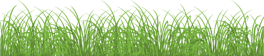 Easter Eggs In Grass Png For Kids - Transparent Background Grass Png (840x322), Png Download