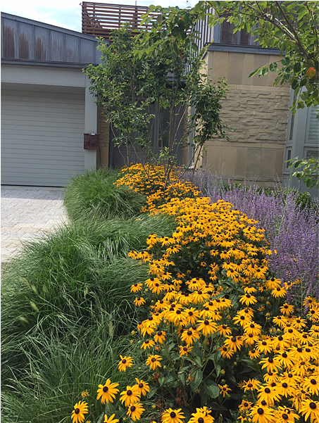 Our Complete Property Maintenance Program Offers A - Paragon Landscape Construction, Inc (900x600), Png Download