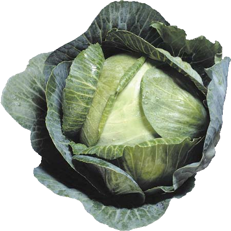 Cabbage Png Image - Headed Cabbage (450x450), Png Download