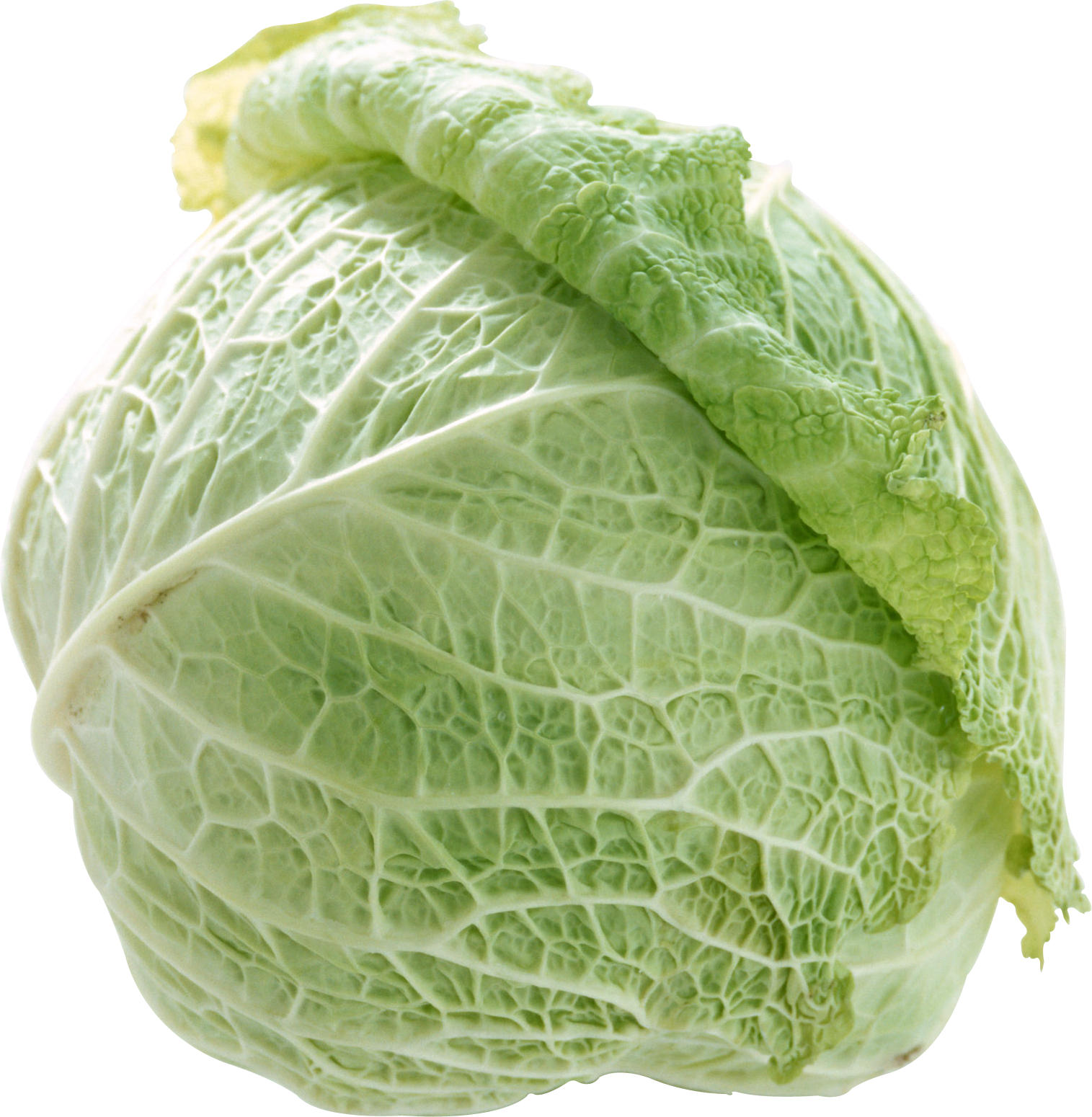 Cabbage, Free Pngs - Kohl Klein, 1 1⁄4 Zoll-runder Magnet Runder Magnet (1515x1550), Png Download