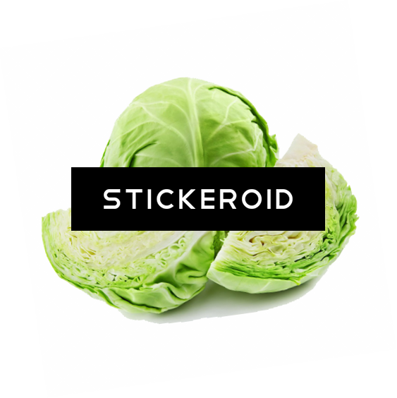 Cabbage - Cabbage - The Ultimate Recipe Guide (563x564), Png Download