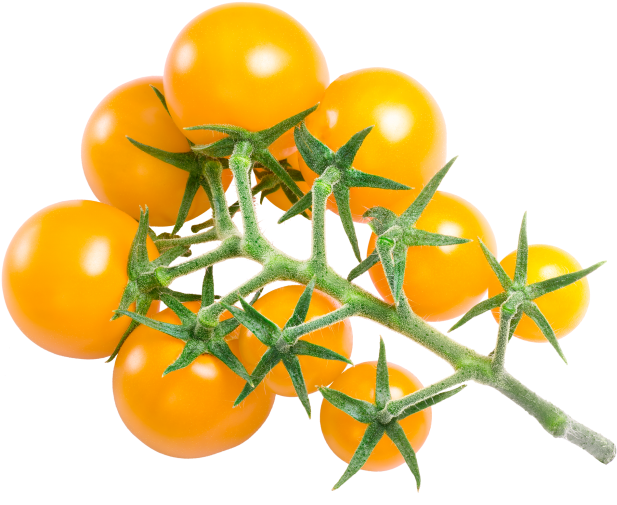 Yellow Cherry Tomatoes - Clipping Path (866x650), Png Download