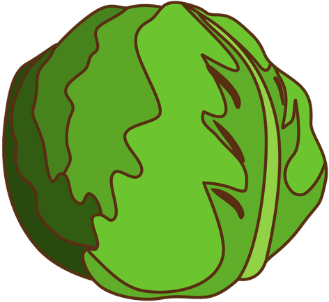 Cabbage - Vegetable (500x500), Png Download