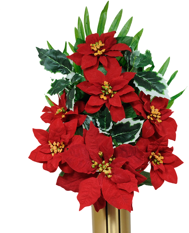 Poinsettia Border Png Download - Drawing (800x800), Png Download
