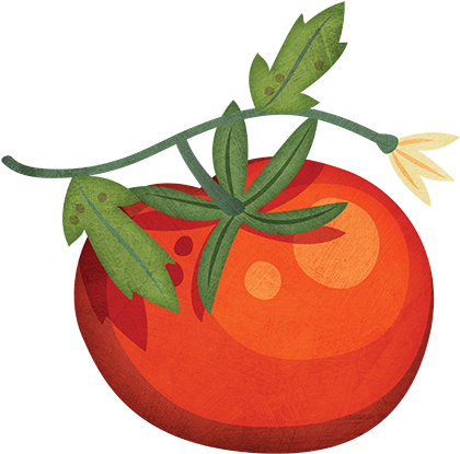 Tomato - Clip Art (500x500), Png Download