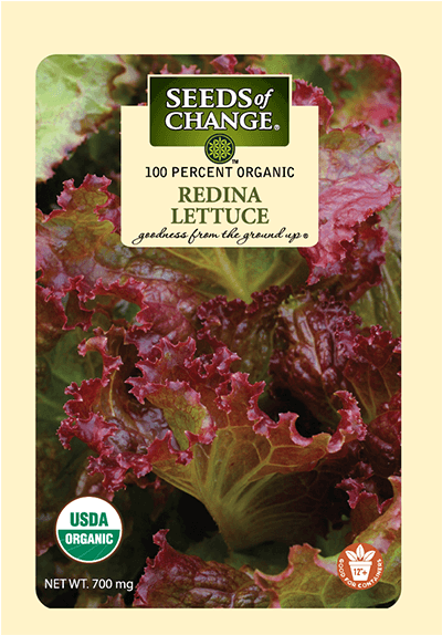 Organic Redina Lettuce Seeds - Seeds Of Change Seed Lettuce (573x573), Png Download