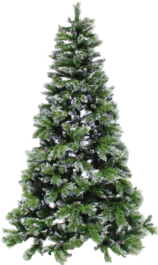 View Theme Ideas - Real Pine Tree (450x600), Png Download