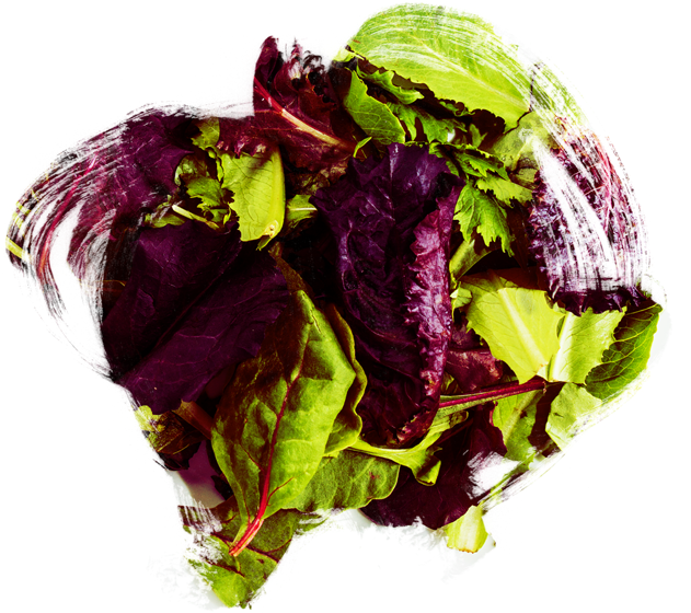 Salads - Radicchio (650x650), Png Download