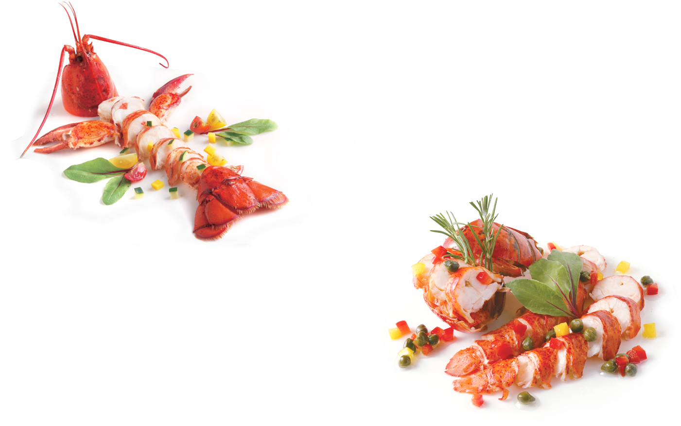 Parallax Lobster Plate - Lobster (1400x900), Png Download