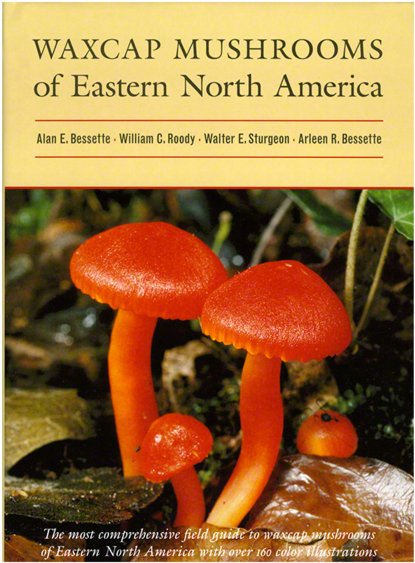 Waxcap Mushrooms Of Eastern North America (700x700), Png Download