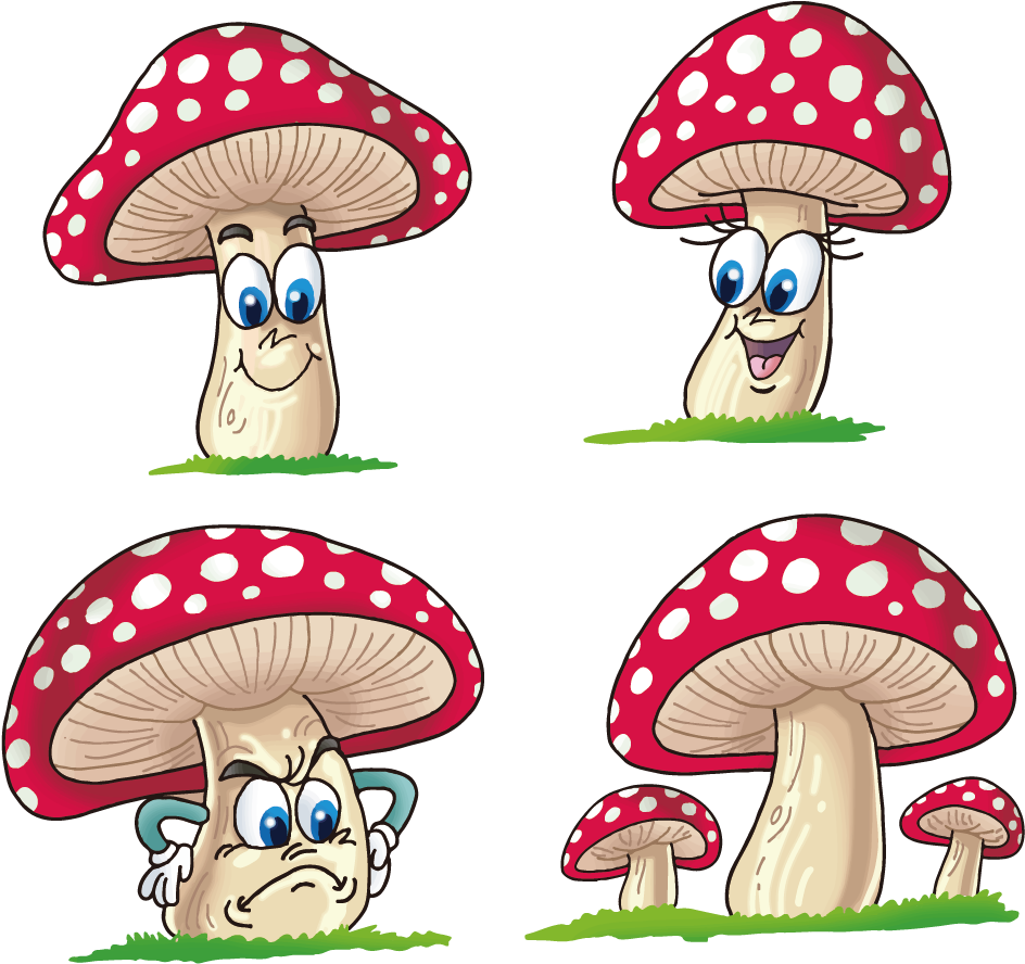 Banner Black And White Stock Alice Drawing Mushroom - Imagen De 8 Hongos Animado (1181x1181), Png Download