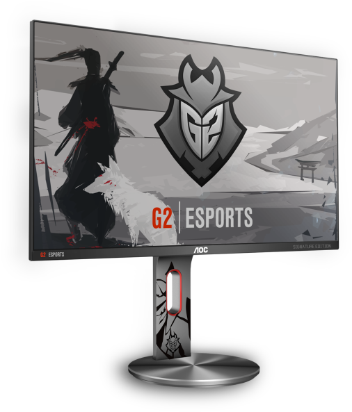Compete In G2 Esports Style - G2 Esports (555x600), Png Download
