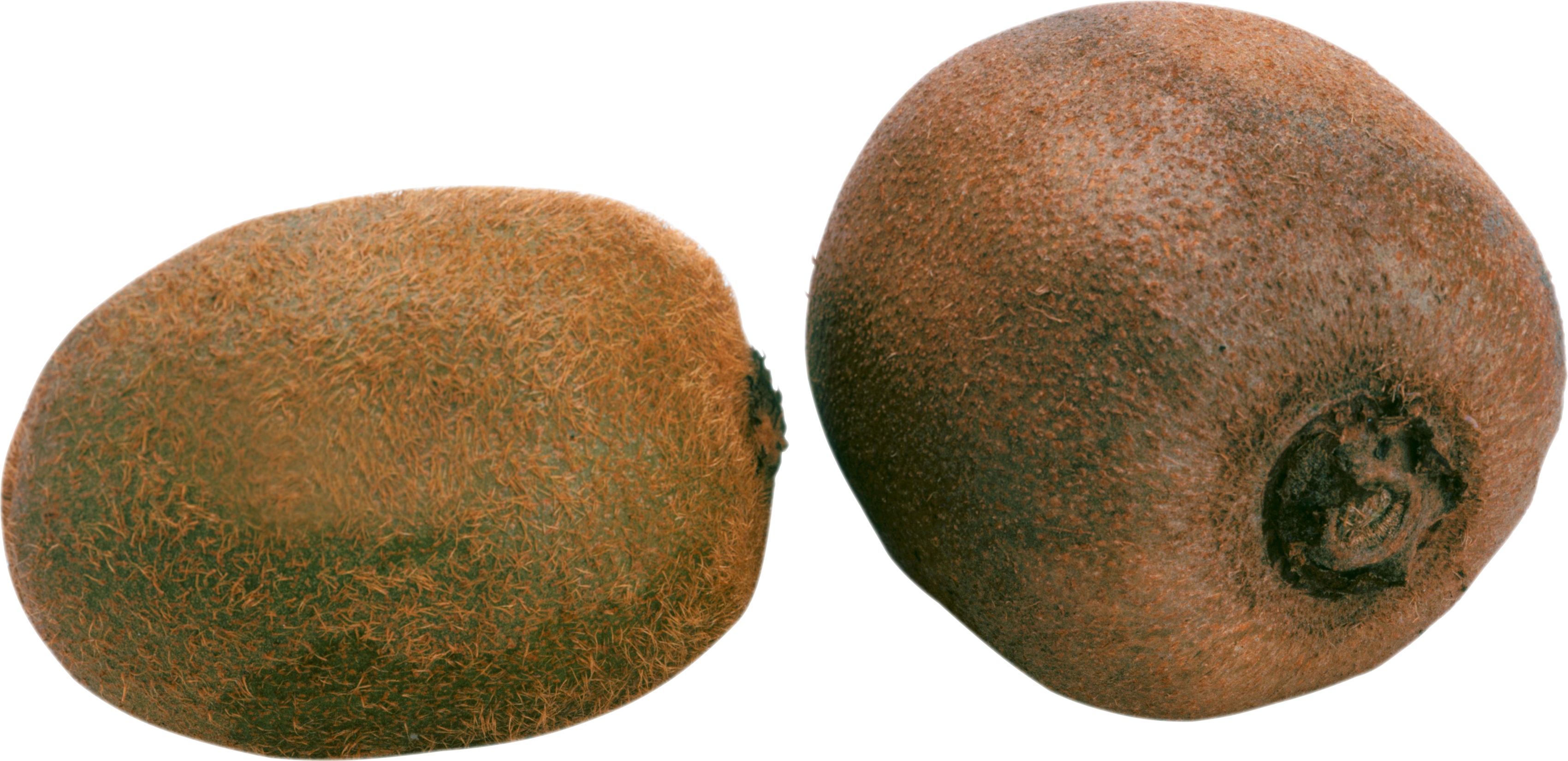 Kiwi Png - Kiwis Png (1600x776), Png Download
