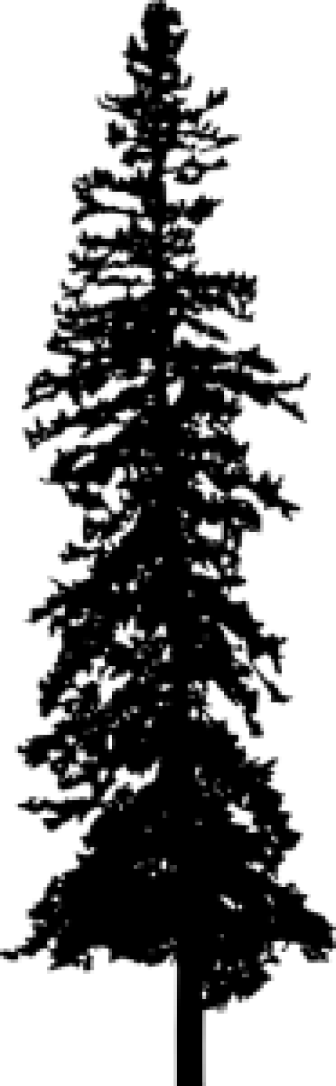 Free Png Pine Tree Silhouette Png Images Transparent - Portable Network Graphics (480x1549), Png Download