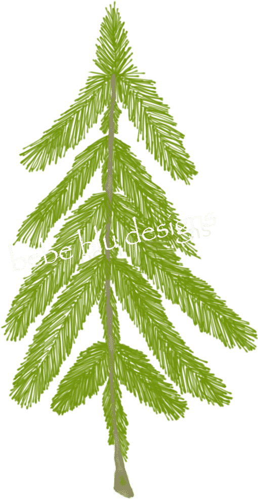 Natural Pine Tree Better - Pine (627x1024), Png Download