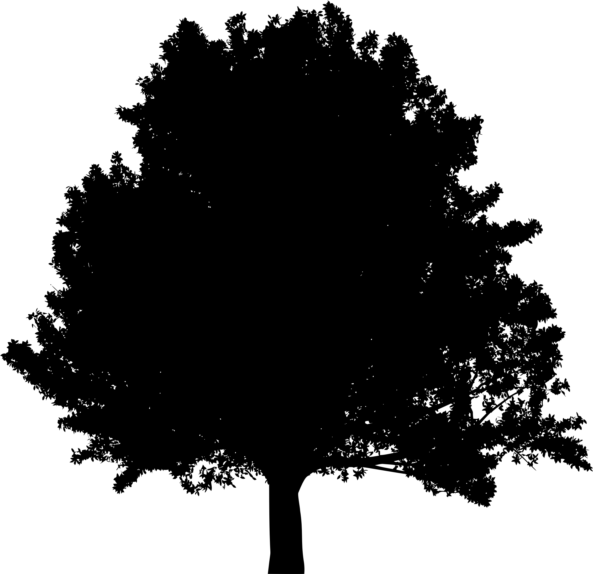 Big Image - Portable Network Graphics (2259x2187), Png Download