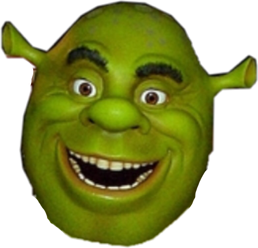 Shrek Stupid (521x501), Png Download