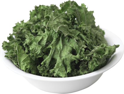 Kale Is Chockfull Of Vitamin K, With A - Homesteading Handbook Vol. 5 Food Drying: (421x318), Png Download