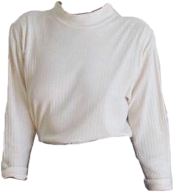 Moodboard Aesthetic Niche Clothes Shirts Shirt - Aesthetic Shirt Transparent Background (347x384), Png Download