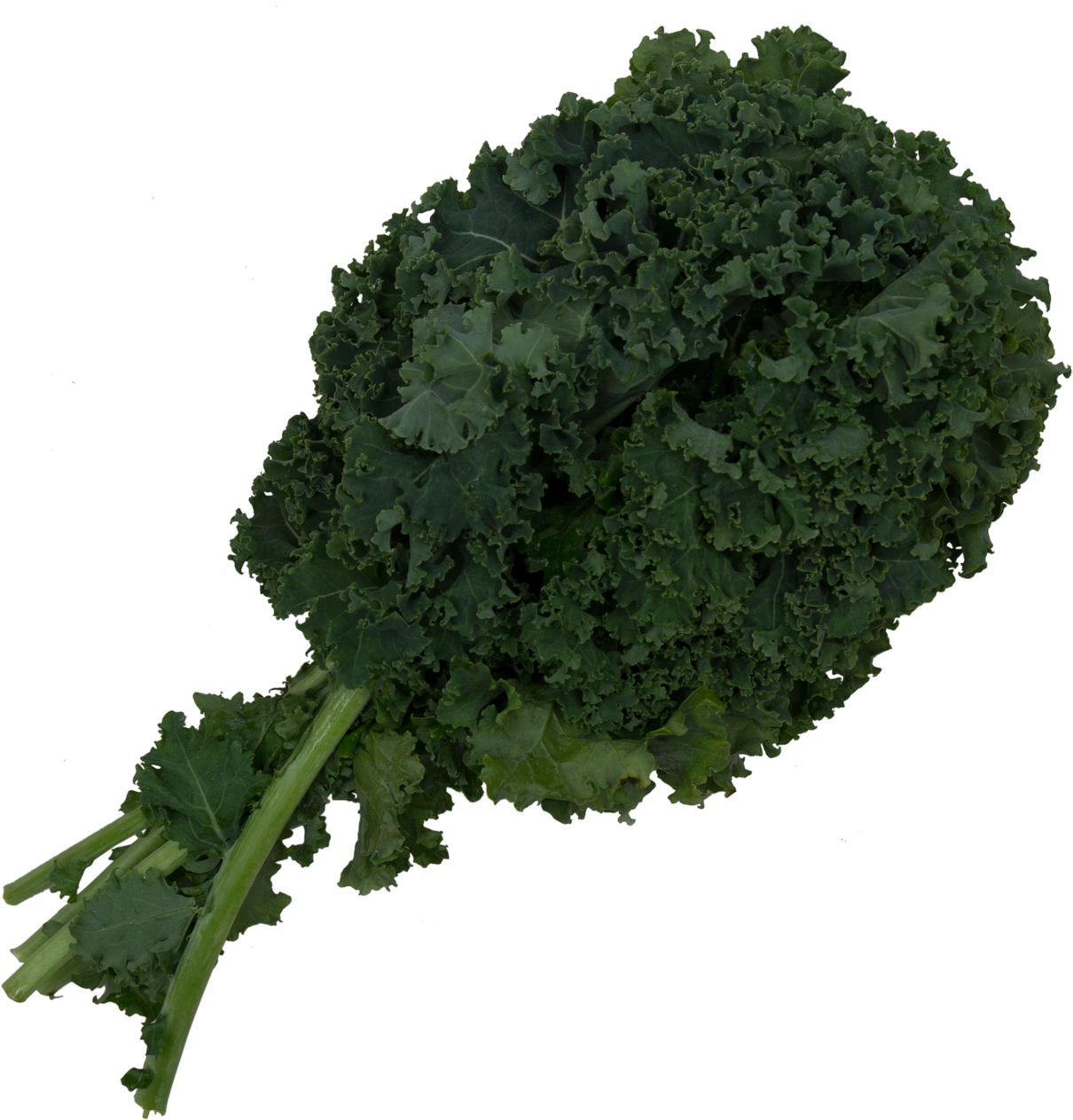 Kale - Wild Cabbage (1210x1263), Png Download