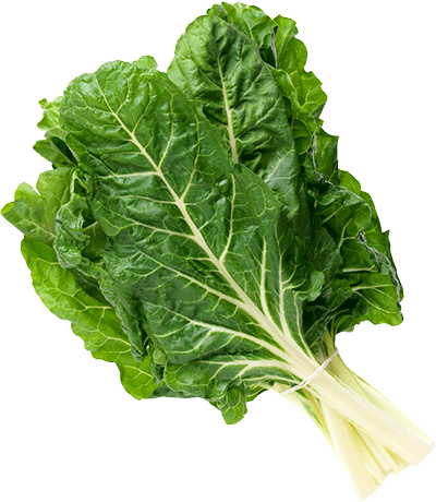 Safe Leafy Greens Chard - Green Leafy Vegetable Png (400x460), Png Download