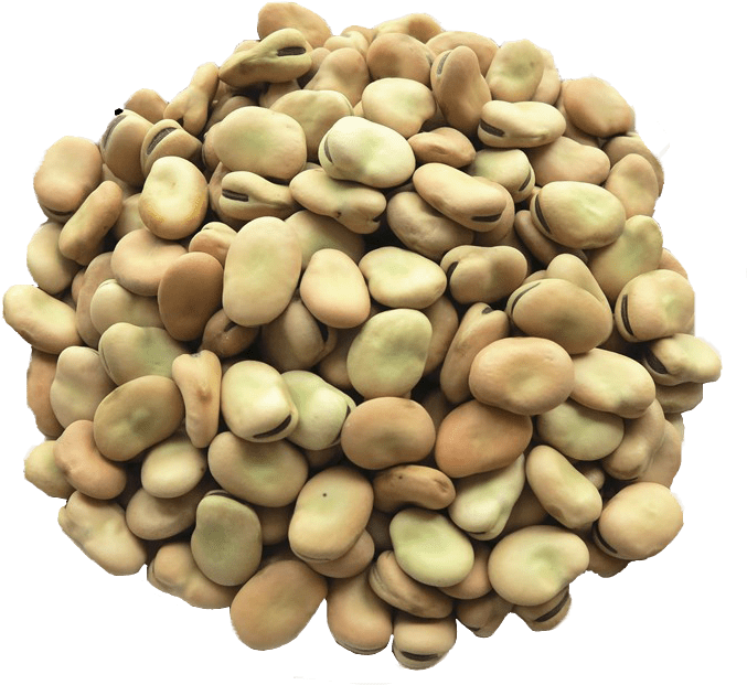 Fava Beans - Food To Live Organic Fava Beans (800x800), Png Download