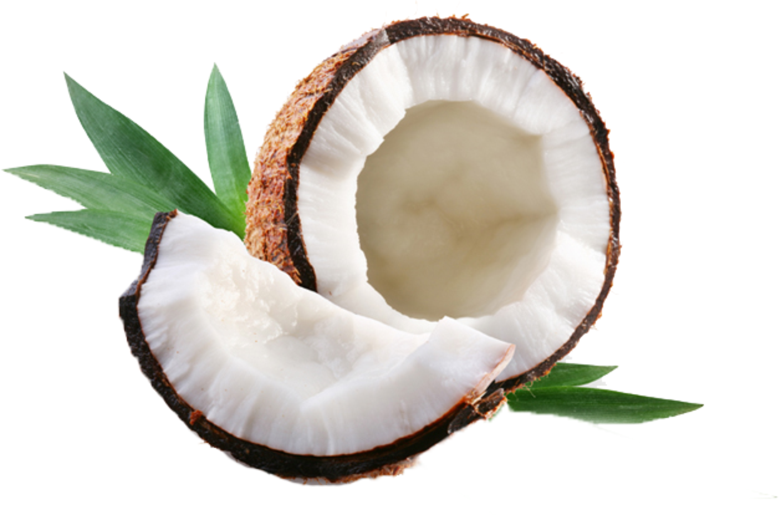 Coco - Hidratação Com Leite De Côco (1563x1033), Png Download