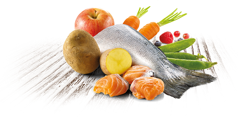 D Pienso Natural Para Perros Con Salmon Fresco Trueinstinct - Salmon (846x487), Png Download