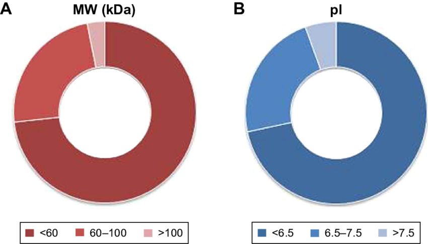 Clusterization Of Proteins In The Corona - Circle (850x485), Png Download