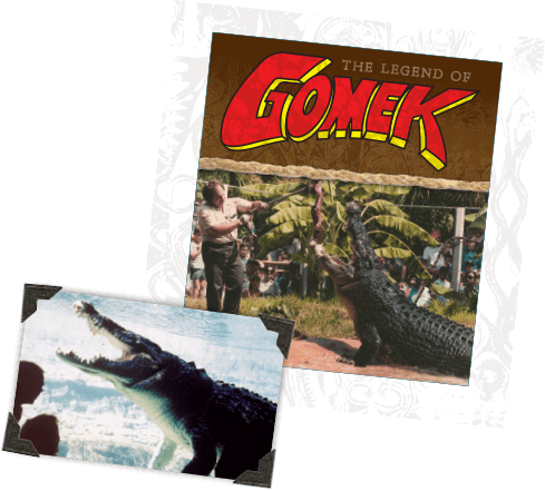 Gomek Is Now Tastefully Preserved And Surrounded By - Largest Salt Water Crocodile (489x441), Png Download