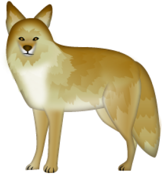 Jackal, Coyote Png, Download Png Image With Transparent - Coyote (400x400), Png Download