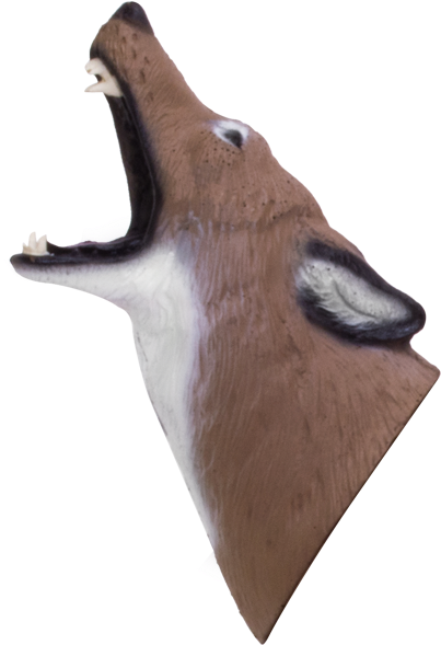 Howling Coyote 3d Archery Target Replacement Head - 3d Target (600x600), Png Download