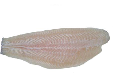 John Dory (500x500), Png Download