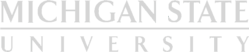 Michigan State University - Michigan State University School Of Social Work (850x250), Png Download