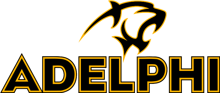 Panther Wordmark - Full Color - Adelphi Panthers (816x387), Png Download