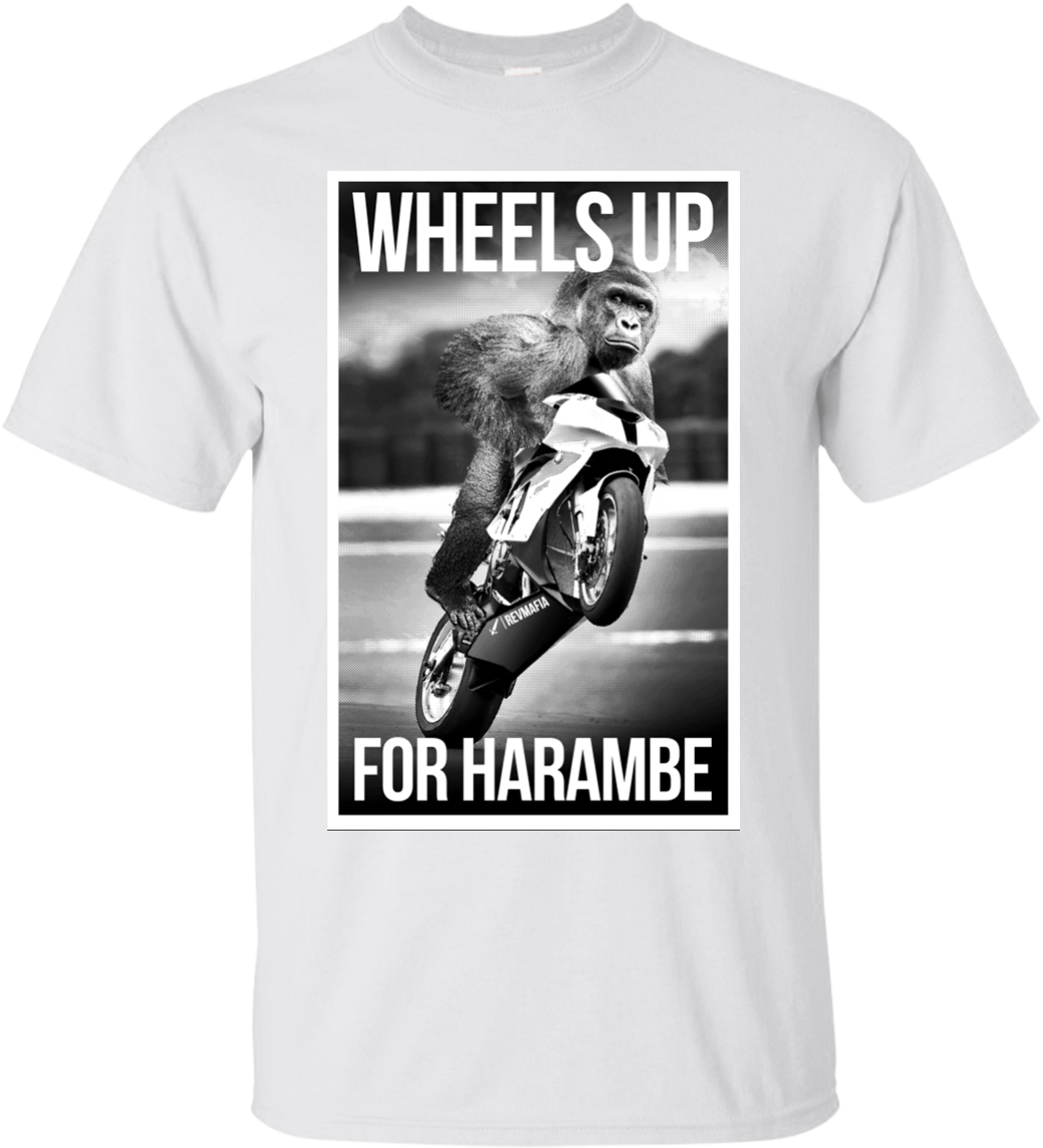 Harambe Pic In R6 (1155x1155), Png Download