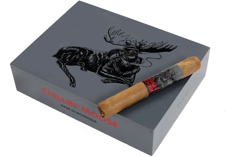 Reindeer (1000x667), Png Download