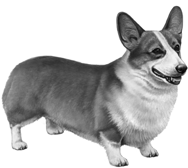 Pembroke Welsh Corgi - Pembroke Welsh Corgi Dog Counted Cross Stitch Pattern (450x360), Png Download