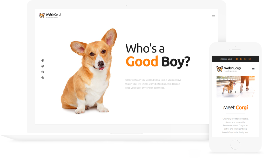 Welsh Corgi Dog Breeding And Sale Wp Theme - Nature's Miracle 32-ounce, 4 In 1 Shampoo & Conditioner (1056x636), Png Download