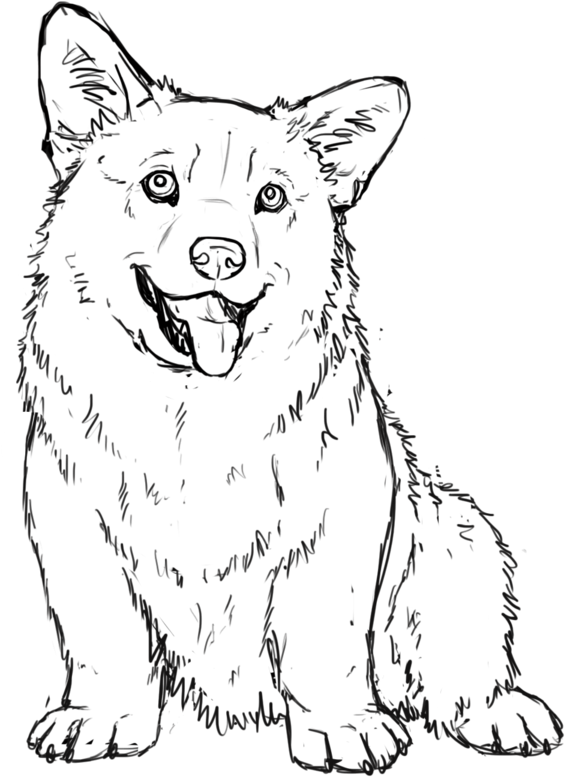 Corgi Drawing Transparent - Outline Of A Corgi (600x900), Png Download